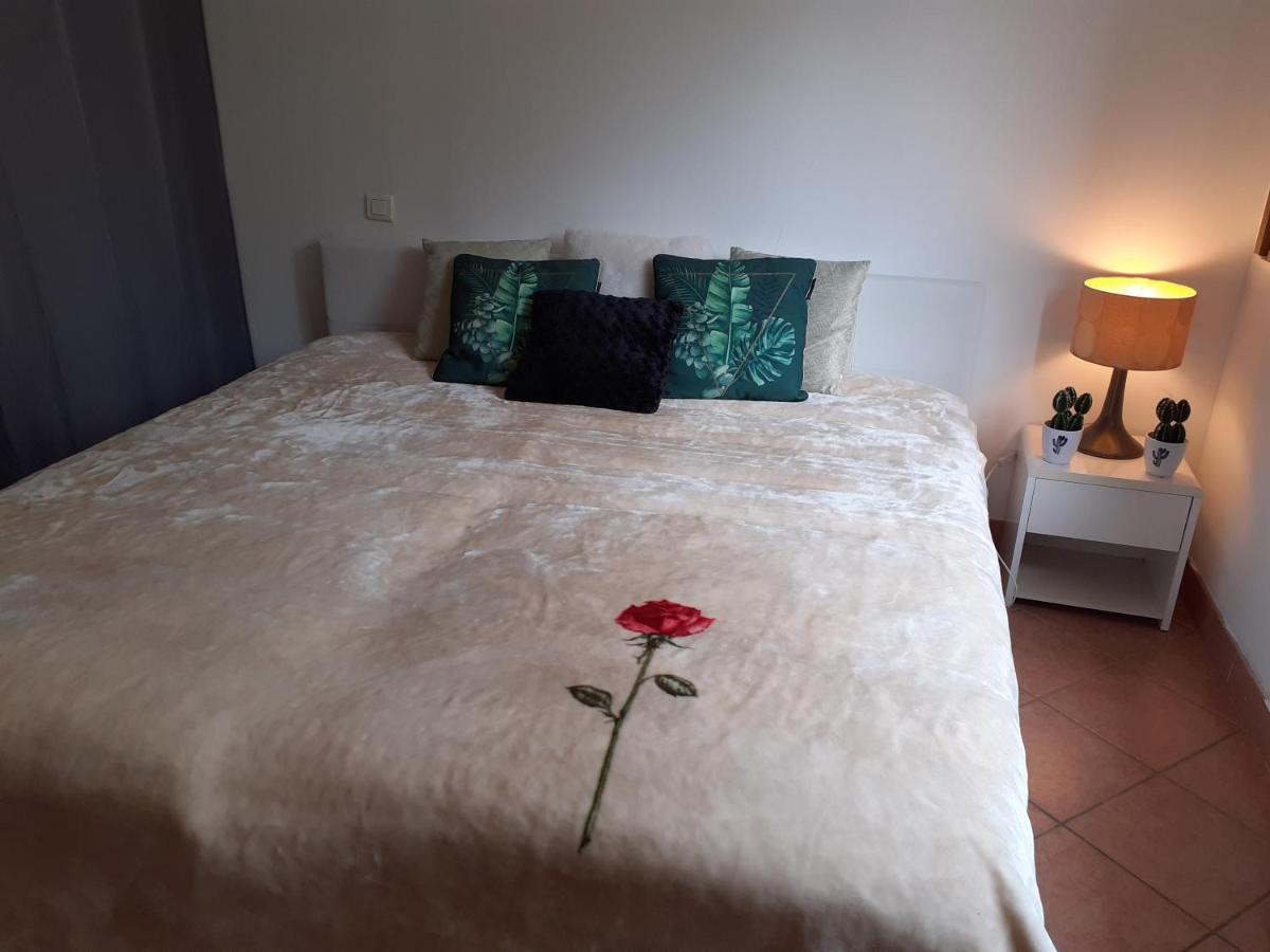 Logement Calme Et Agreable A Proximite D'Ajaccio Canale Cabanes Eksteriør billede
